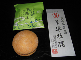 早牡鹿