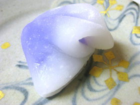 花菖蒲